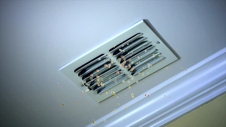 Best Affordable Duct Cleaning Services  in Aliso Viejo, CA