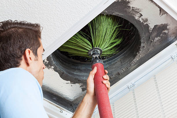 Best Air Duct Mold Removal  in Aliso Viejo, CA